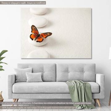 Canvas print  Zen butterfly III