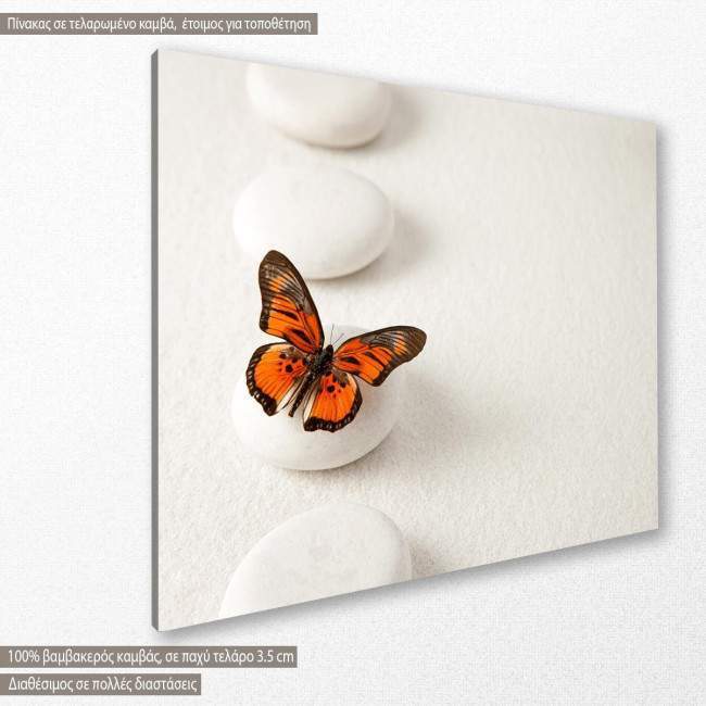 Canvas print  Zen butterfly III, side