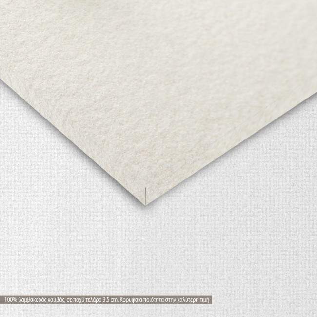 Canvas print  Zen butterfly III, detail