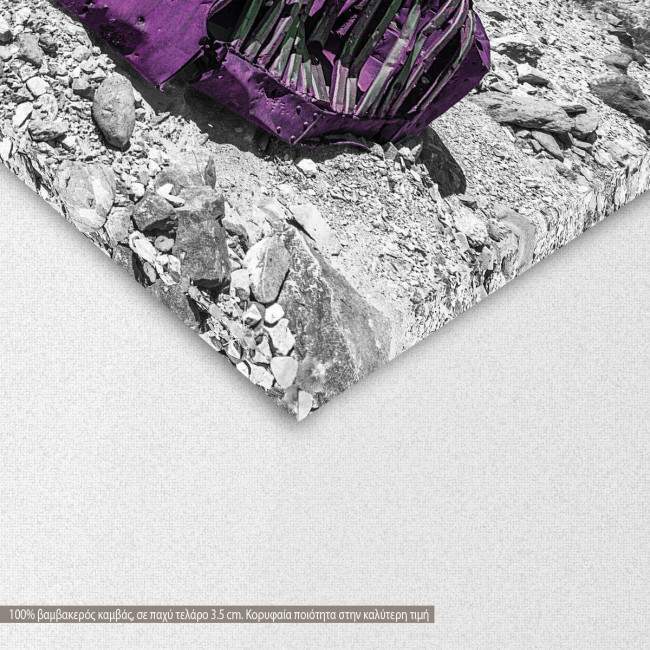 Abandoned rusty car, πίνακας σε καμβά, λεπτομέρεια