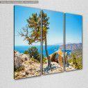 Canvas print Historic ruin and pine tree, Rhodes,  3 panels, side