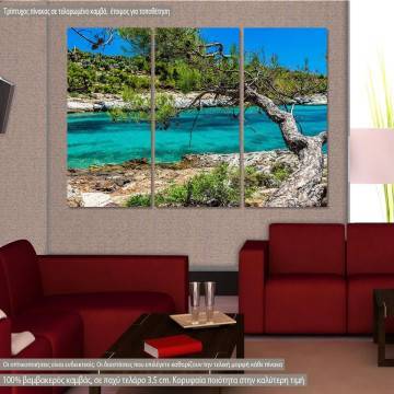 Πίνακας σε καμβά Θάσος, Crystal clear water at Thasos island, τρίπτυχος