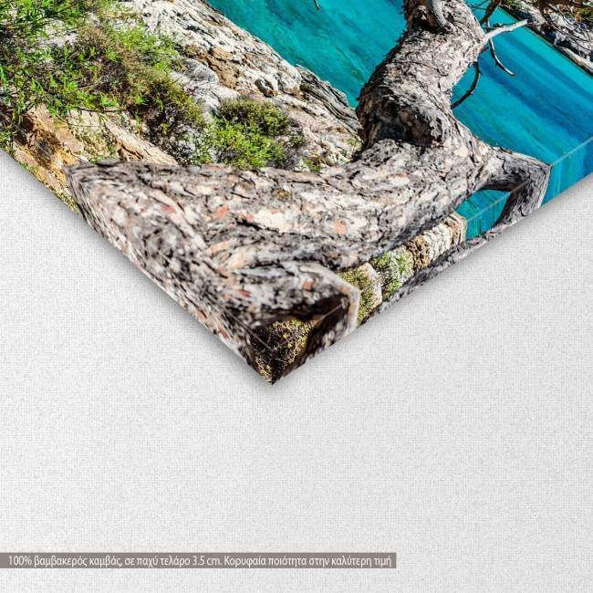 Canvas print  Crystal clear water at Thasos island,  3 panels, detail