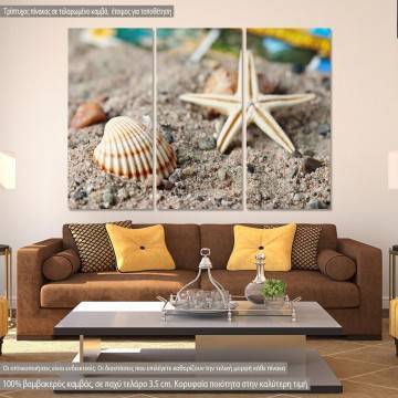 Canvas print Starfish and snail,  3 panels