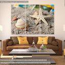 Canvas print Starfish and snail,  3 panels