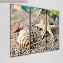 Canvas print Starfish and snail,  3 panels, side