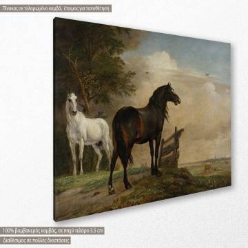Πίνακας ζωγραφικής Two horses in a meadow, Potter P., αντίγραφο σε καμβά 2