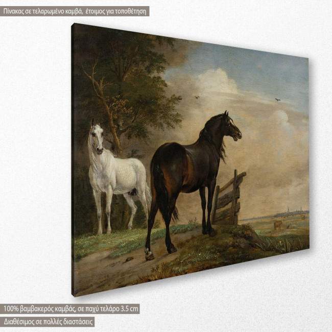 Two horses in a meadow by P. Potter, αντίγραφο - αναπαραγωγή πίνακα σε καμβά, κοντινό