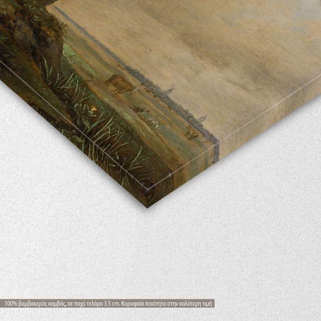 Two horses in a meadow by P. Potter, αντίγραφο - αναπαραγωγή πίνακα σε καμβά, λεπτομέρεια