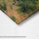 Canvas print Côte des Grouettes, Pissarro C, detail