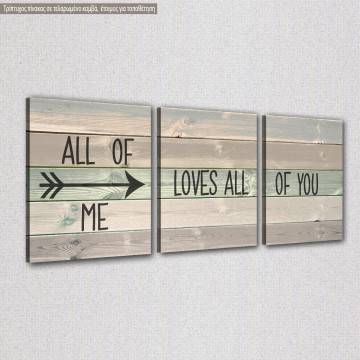 Canvas print All of me loves all of you square  3 panels Framed canvas View 1 2