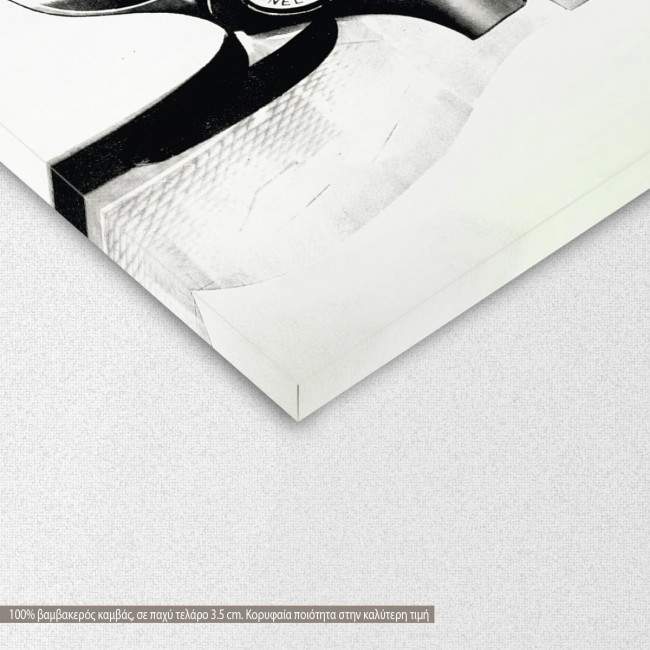 Canvas print Double revolver gun, detail