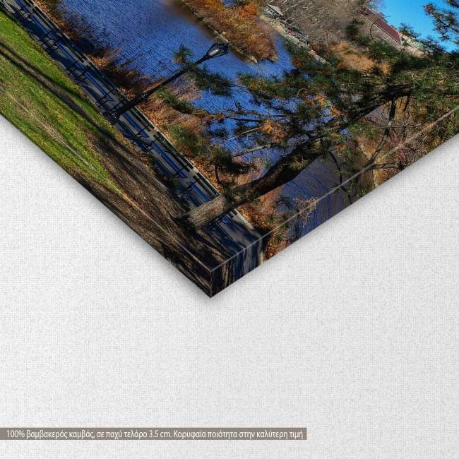 Central park, New York, πίνακας σε καμβά, λεπτομέρεια