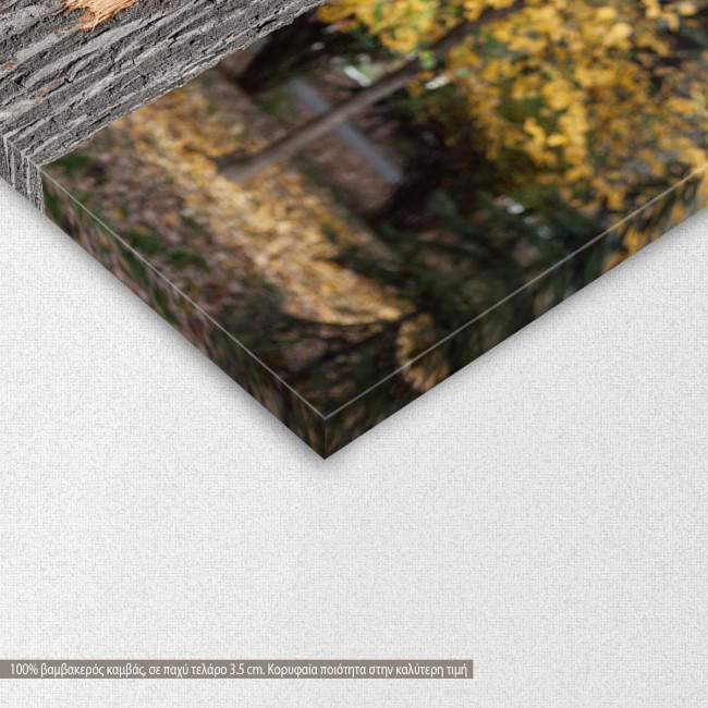 Canvas print Heart on tree (with name)