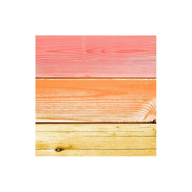 Room divider Rainbow painted wood planks