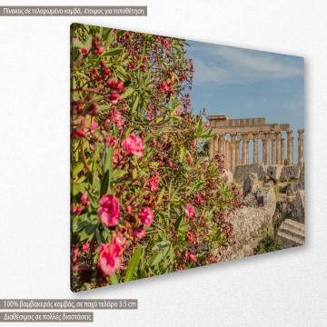 Canvas print  Selinunte, Sicily, ancient Greek city 2