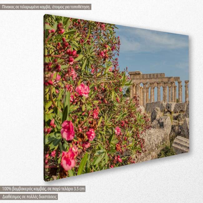 Canvas print  Selinunte, Sicily, ancient Greek city, side