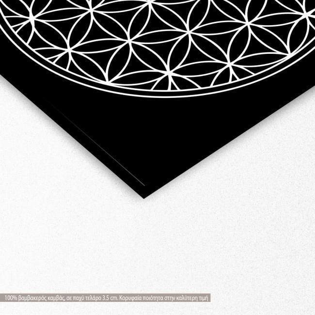 Canvas print Flower of life, detail