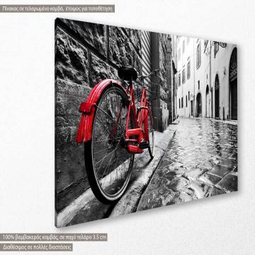 Canvas print Red bicycle 2