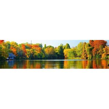 Ταπετσαρία τοίχου Πανδαισία χρωμάτων 2