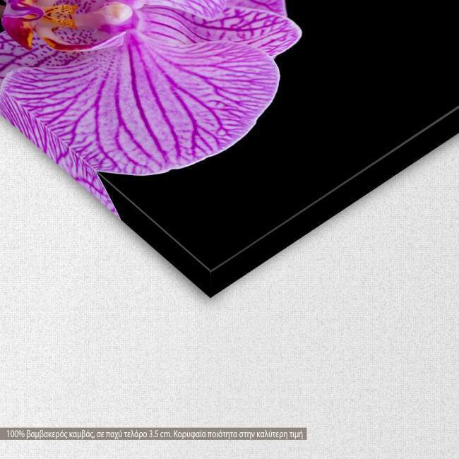 Orchids, πίνακας σε καμβά, λεπτομέρεια