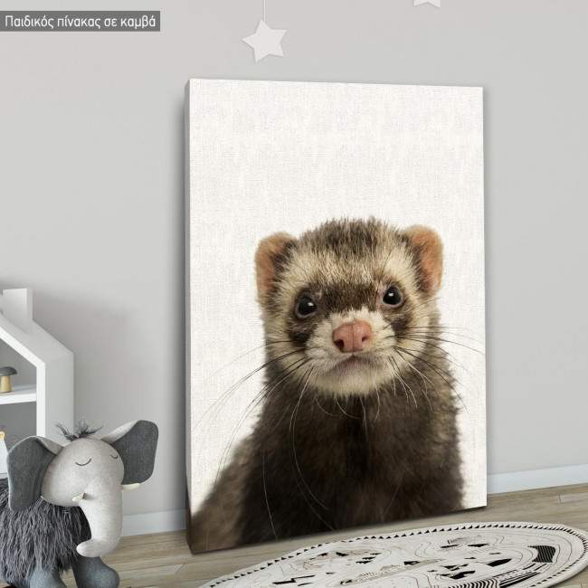 Kids canvas print Ferret