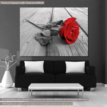 Canvas print Rose, Rose on wood multicolor