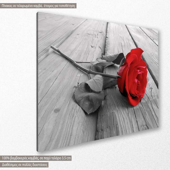 Canvas print Rose, Rose on wood multicolor, side