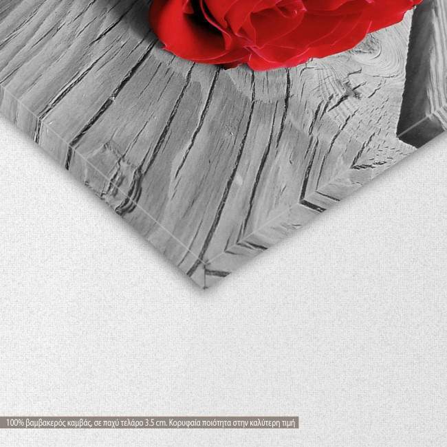 Rose on wood multicolor, πίνακας σε καμβά