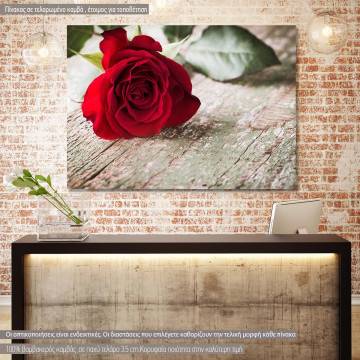 Πίνακας σε καμβά Τριαντάφυλλο, Rose on wood