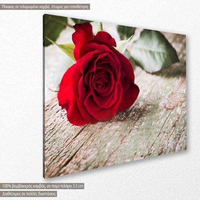Rose on wood, πίνακας σε καμβά με τριαντάφυλλο, κοντινό