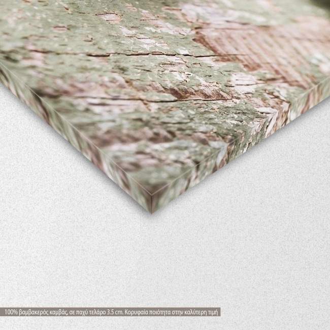 Canvas print Rose on wood, detail