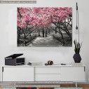 Canvas print Pink Blossoms central park
