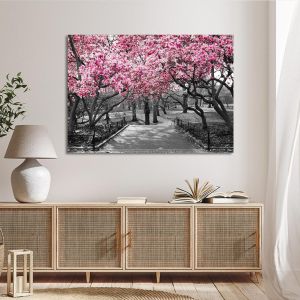 Canvas print Pink Blossoms central park Framed canvas View 1 2