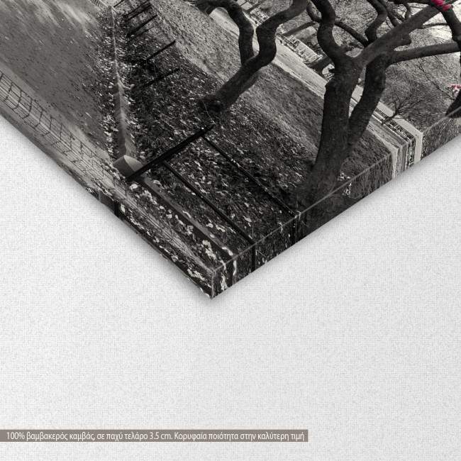 Canvas print Pink Blossoms central park,  3 panels, detail