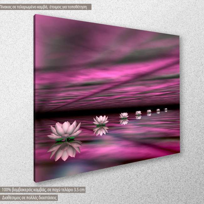 Πίνακας σε καμβά, Νούφαρα, Pink Water lilies, κοντινό