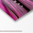 Canvas print Pink Water lilies, panoramic, detail