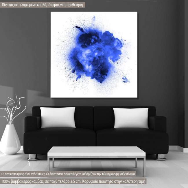 Canvas print Color  explosion multicolor