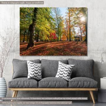 Πίνακας σε καμβά Φθινοπωρινό τοπίο, Autumn landscape