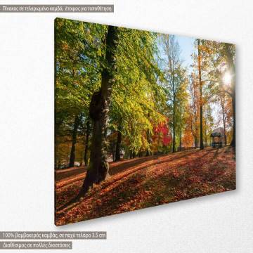Canvas print Autumn landscape, Autumn landscape 2