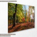 Canvas print Autumn landscape, Autumn landscape, side