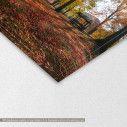 Canvas print Autumn landscape, Autumn landscape, detail