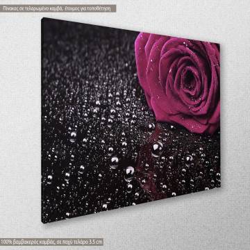 Canvas print Mauve Rose with water drops 2