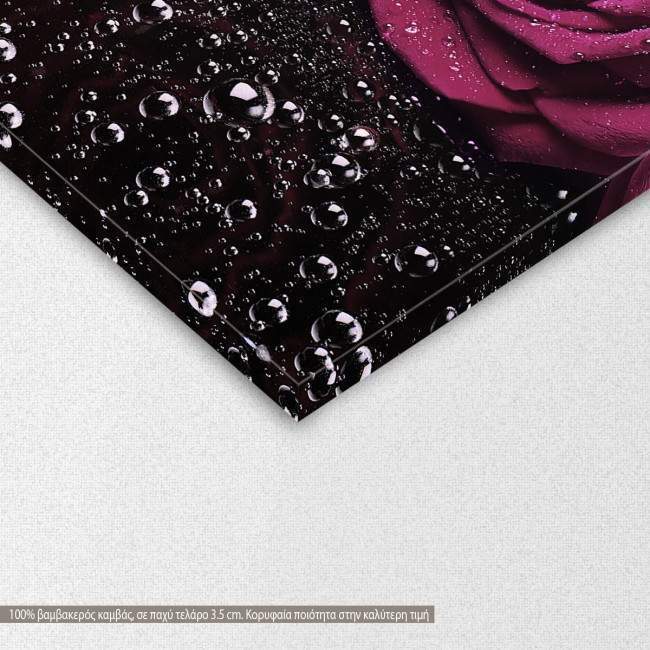 Πίνακας σε καμβά, Μωβ Τριαντάφυλλο, Mauve Rose with water drops, γωνία