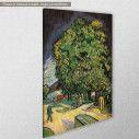 Canvas print Chestnut trees in blossom by V. van Gogh 