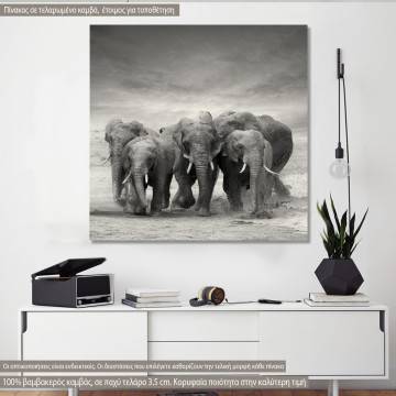 Canvas print Elephants