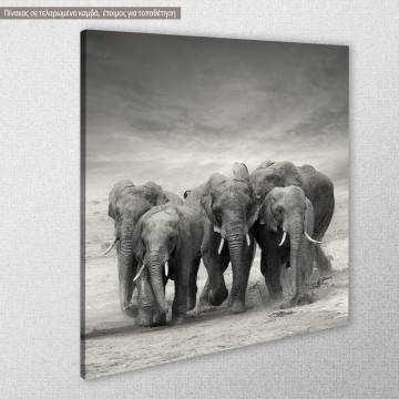 Canvas print Elephants 2