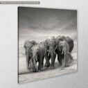 Canvas print Elephants, side