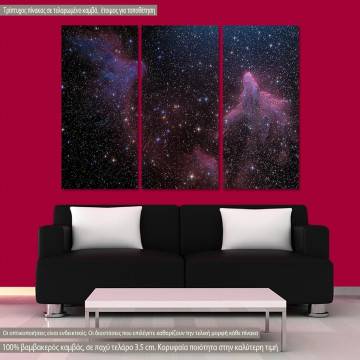 Canvas print Milky way,  3 panels