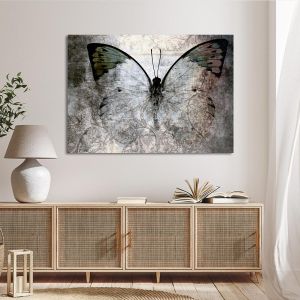 Canvas print Butterfly  Abstract I Framed canvas View 1 2